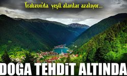 Trabzon'da Yeşil Alarm: Kentsel Rant, Doğayı Tehdit Ediyor