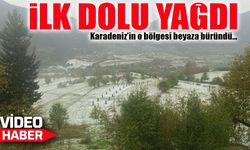 Artvin’in Şavşat İlçesinde Dolu Yağışı Beyaz Örtüyle Kapladı!