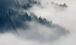 Karadeniz'de Sis Alarmı! Yarın Hava Nasıl Olacak?