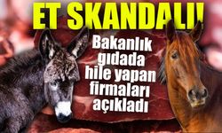 Bakanlık Gıdada Hile Yapan Firmaları Açıkladı: Vatandaşa At ve Eşek Eti Yedirmişler!