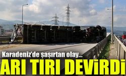 Samsun'da TIR Kazası! Şoförü Arı Soktu, TIR Devrildi