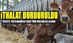 Büyük Tehlike: Türkiye İthalatları Durdurarak Tedbir Aldı!