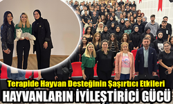 Evcil Hayvanlarla Rahatlama: Hayvan Destekli Tedavi Söyleşisi