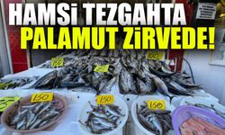 Rize'de Hamsi Şok Fiyata Tezgahlarda! 200 TL'ye Ulaştı; Hamsi Tezgaha Ateş Pahasıyla Girdi!