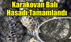 Rize'de Karakovan Balı Hasadı Tamamlandı, Fiyatı Belirlendi