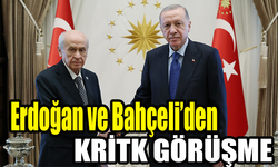 Cumhurbaşkanı Erdoğan, MHP Genel Başkanı Bahçeli ile Görüştü