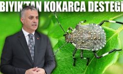 Yomra Belediyesi’nden Kokarca Zararlısına Karşı Mücadeleye Tam Destek