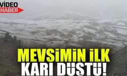 Artvin’in Yüksek Kesimlerine Mevsimin İlk Karı Düştü: Yaylalar Beyaza Büründü