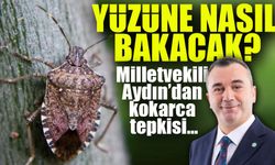 Kahverengi Kokarca Böceği Çiftçimizin Yüzüne Nasıl Bakacak?