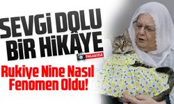 Sokaktan Sahiplenilen Kedi Tülin ile Sevgi Dolu Bir Hikâye