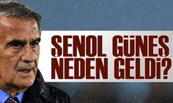 Şenol Güneş: "Bir Çiçekle Yaz Gelmez, Daha Fazla Puan Toplamalıyız"