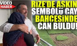 Eşine Jest Yapan Çay Üreticisi Osman Öztürk, Bahçesini ‘Kalp’li Budadı!