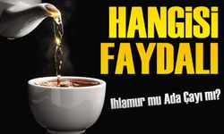 Hangisi Daha Faydalı: Ihlamur mu Ada Çayı mı?