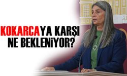 CHP Trabzon Milletvekili Suiçmez: “Kahverengi Kokarcaya Karşı Ne Bekleniyor?“