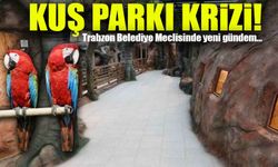 Trabzon Belediye Meclisi'nde Kuş Parkı Krizi: Mülkiyet Sorunu Tartışıldı