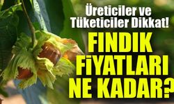 Fındık Fiyatlarında Şok Artış! Üreticiler ve Tüketiciler...