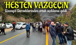 Uzungöl Derneklerinden Çarpıcı Çağrı: "Doğamızı HES'ten Koruyun!"