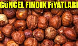 Fındık Fiyatlarında Son Durum: Üreticiler ve Tüketiciler İçin Kritik Gelişmeler