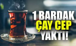 Bir Bardak Çayın Fiyatı 250 TL'yi Buldu: Çay Artık Lüks Tüketim Mi?