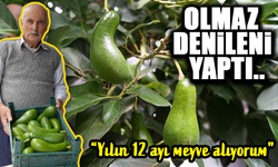 Olmaz Denileni Yapan Öğretmen: 200 Farklı Meyve Yetiştiriyor!