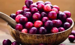 Turna Yemişi (Cranberry): Sağlığın Kırmızı Mucizesi