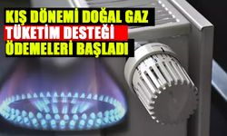 Kış Dönemi Doğal Gaz Tüketim Desteği Ödemeleri Başladı