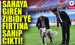 Sahaya Giren "Zibidi" Artık Trabzonspor'un Resmi Maskotu: Yeni İsmi "Fırtına"