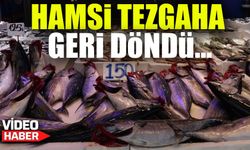 Tezgahlarda Hamsi Heyecanı: İrileşmesi Bekleniyor!