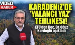 Doğu Karadeniz'de 'Yalancı Yaz' Tehlikesi: Orman Yangını Riski Kapıda