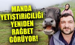 Giresun’da Manda Yetiştiriciliği Yeniden Rağbet Görüyor! 19 Milyon Destek Ödemesi Yapıldı