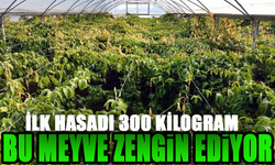 Bu Meyve Zengin Ediyor: Kilosu 200 TL!