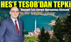 Uzungöl’de Planlanan HES Projesine TESOB’dan Tepki: "Doğayı Korumalıyız!"