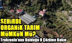 Kurnaz Kardeşlerden İlgi Çeken Tarımsal Üretim