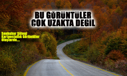 Sonbahar Renkleriyle Büyüleyici Görüntüler