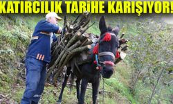 Giresun’da Katırcılık Tarihe Karışıyor! Son Temsilci Mesleğin Yok Olmasından Endişeli