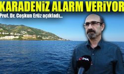 Karadeniz Alarm Veriyor: Çevre Ülkelerin Atıkları Denizi Kirletiyor!