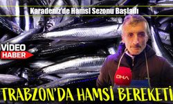 Trabzon’da Hamsi Bereketi: Fiyatlar Uygun, Tezgahlar Şenlendi!