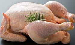 Türkiye’de Tavuk Eti Rekoru! Üretim 2,7 Milyon Tonu, Kişi Başı Tüketim 25 Kiloyu Aşacak