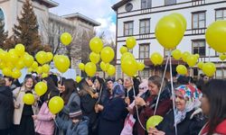 SMA Hastası Bilge Bebek İçin Umut Zaferi! Ardanuç’ta Balonlar Gökyüzüne Uçtu