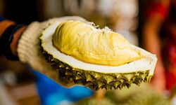 Durian Meyvesi: Güneydoğu Asya'nın Efsanevi Meyvesi