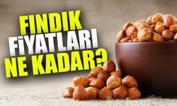 Fındık Fiyatlarında Şok Güncelleme! Üreticiler ve Tüccarlara Uyarı!