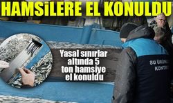 "Trabzon’da 5 Ton Yasal Olmayan Hamsiye El Konuldu!"