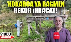 Fındığın Kabusu 'Kokarca'ya Rağmen Rekor İhracat!