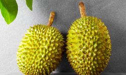 Durian Meyvesi: Kokan Ama Faydalarıyla Şaşırtan Meyvelerin Kralı!