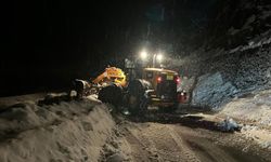 Ayder Yaylası Yolunda Çığ Felaketi: Trafik 1 Saat Durdu!