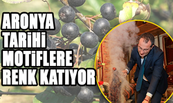 Aronya Bitkisi, Halıcılıkla Buluşarak Tarihi Motiflere Doğal Renk Katıyor