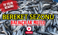 Karadeniz'de Bereket: Son 30 Yılın En Bol Sezonu Yaşanıyor