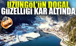 Karın Büyüsü: Uzungöl’de Kış Turizmi Baş Döndürüyor!