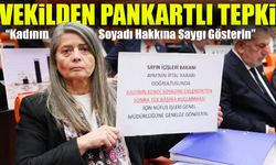 CHP’li Sibel Suiçmez’den TBMM’de Pankartlı Çağrı: “Kadının Soyadı Hakkına Saygı Gösterin”