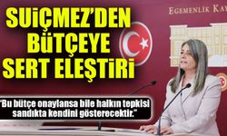 Sibel Suiçmez’den Bütçeye Sert Eleştiri: “Faize Ayrılan Pay Yüzde 13, Sosyal Yardımlar Yüzde 4,4”